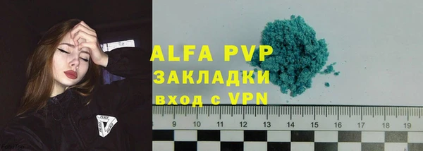 спайс Пересвет